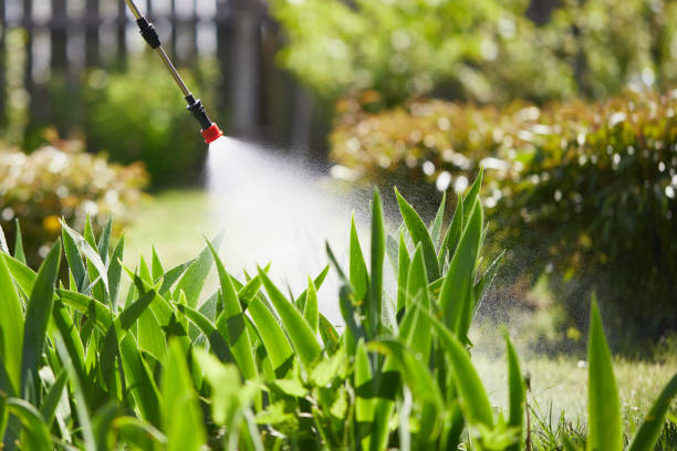 Tamper-Resistant Bait Stations for Rodents in Longtown