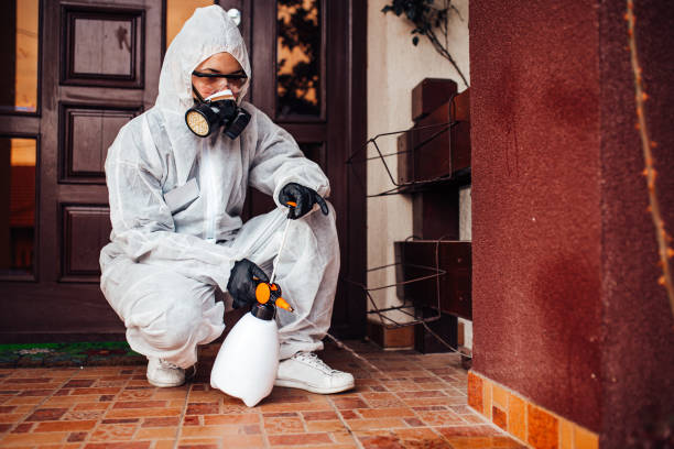 Attic and Crawl Space Rodent Treatment in Longtown