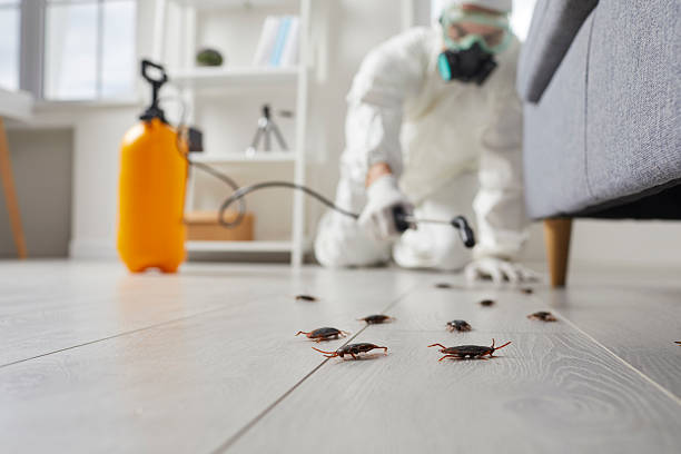 Commercial Rodent Management in Longtown
